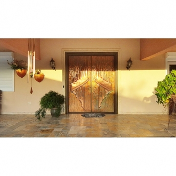 Danterry Residential steel front door